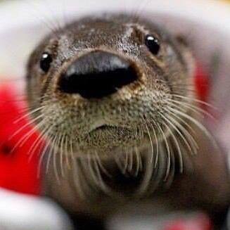 Аватар пользователя Евгений Юрьевич