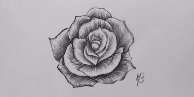 Как нарисовать розу 20 разными способами - Лайфхакер