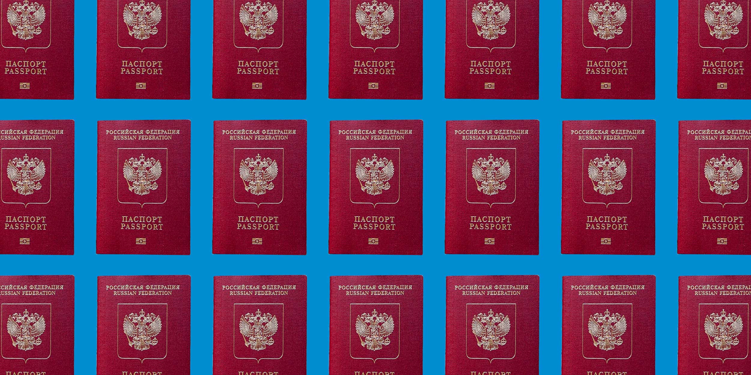 Паспорт РГБ