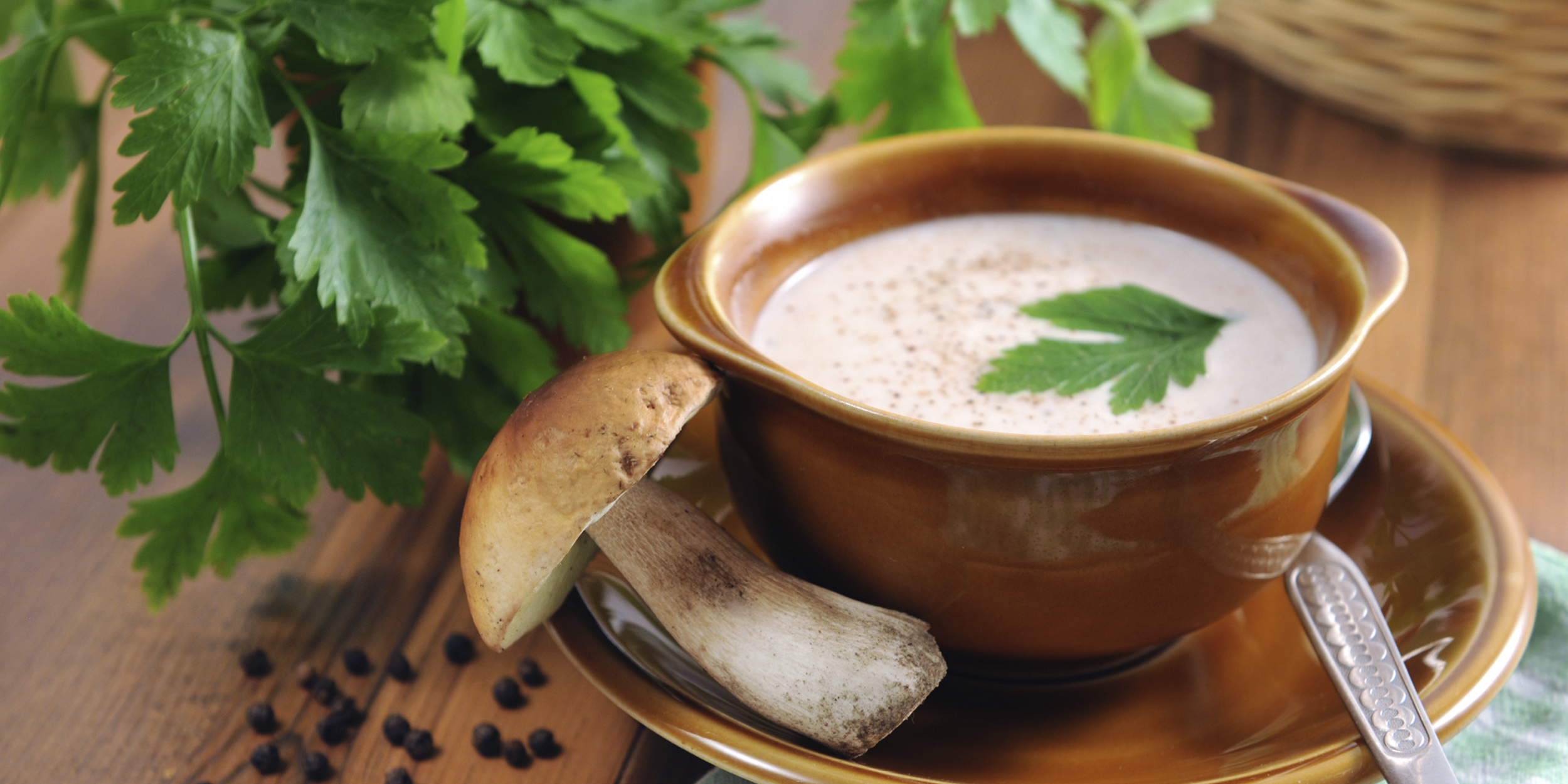 10 вкусных рецептов с использованием свежих белых грибов