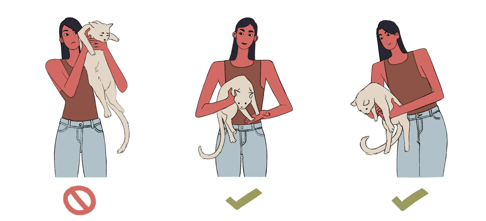 Как держать кота: подробная инструкция - Лайфхакер