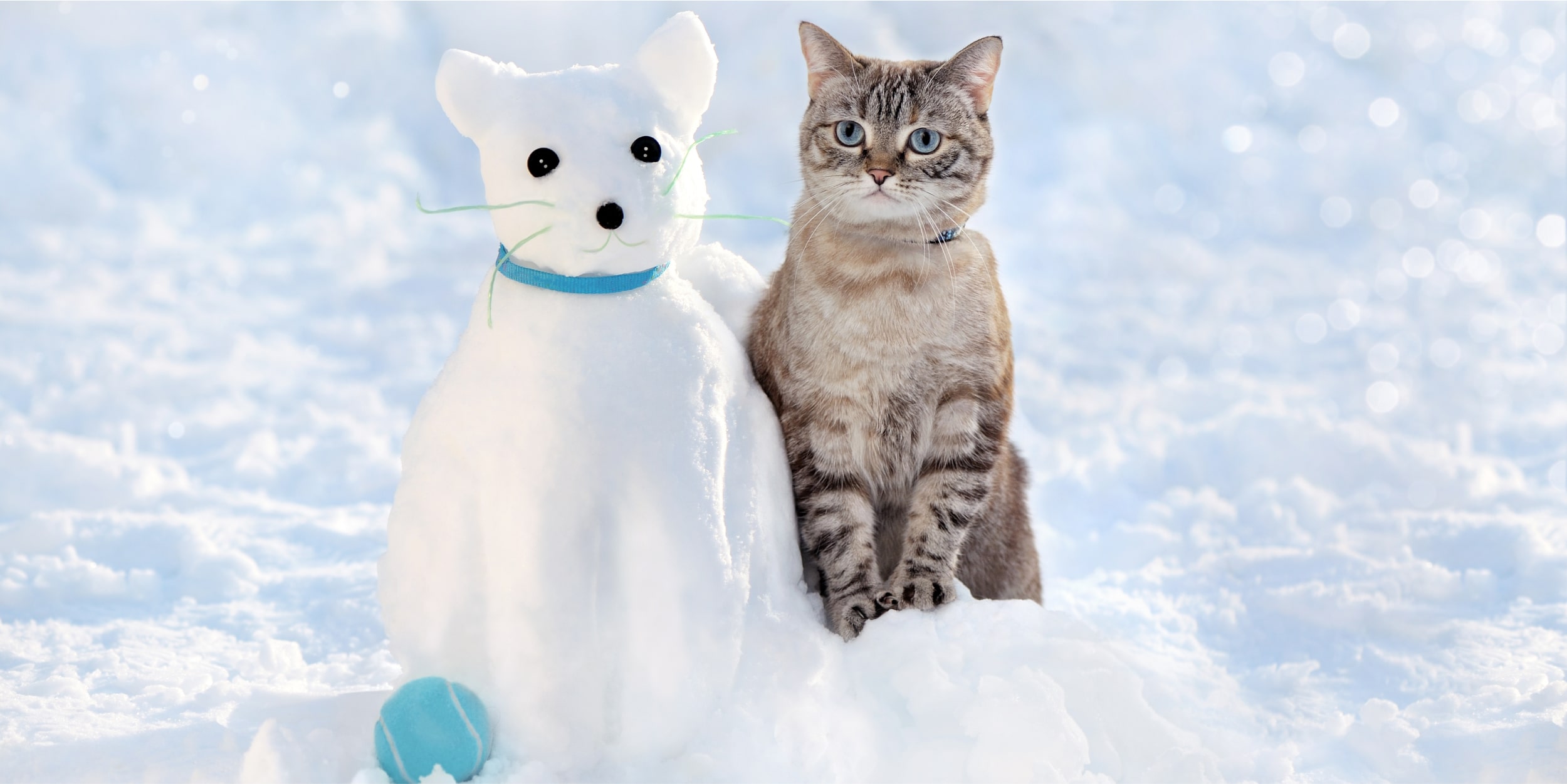 20 снежных фигур, которые легко сделать самому и с детьми - Лайфхакер