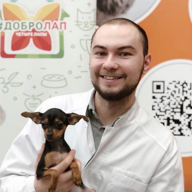 Аватар пользователя Игорь Михайлов