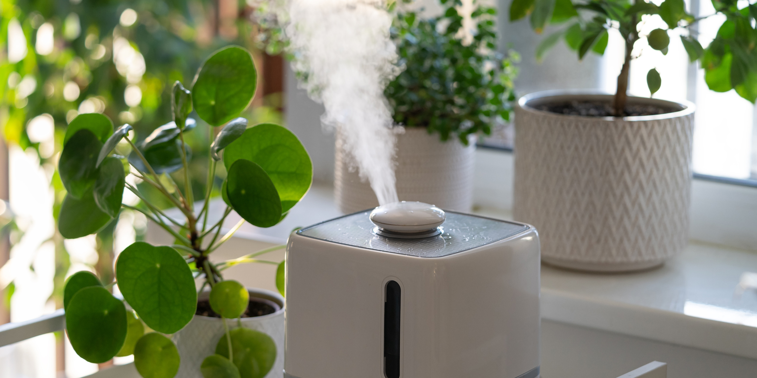 Сухой воздух в квартире – увлажнитель или вентиляция