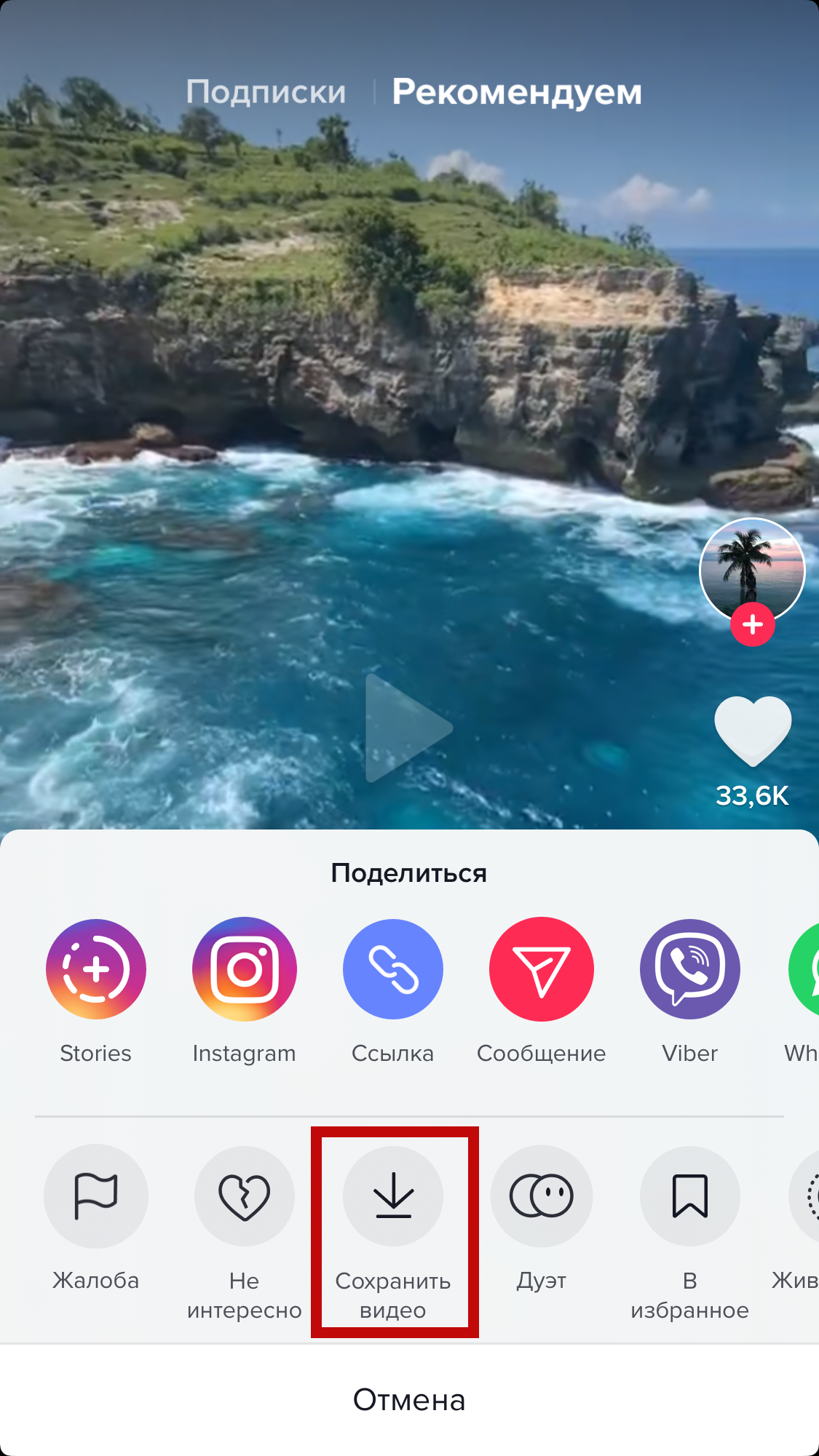 Как скачать видео с TikTok на любое устройство - Лайфхакер