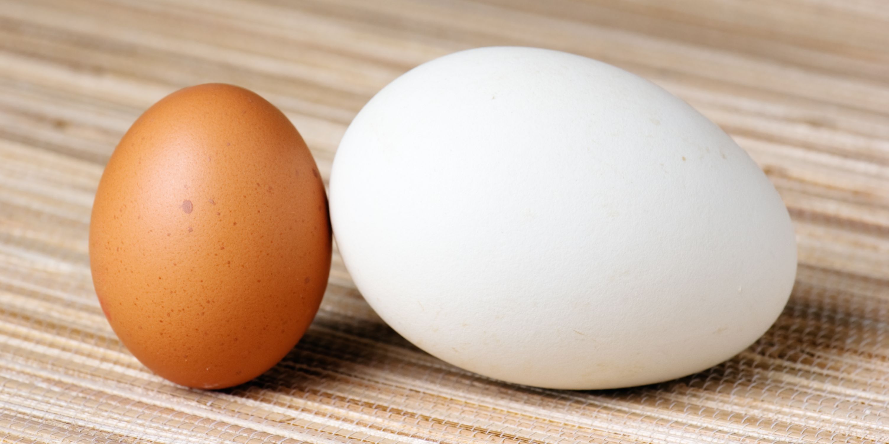 Инкубации гусиных яиц в домашних условиях