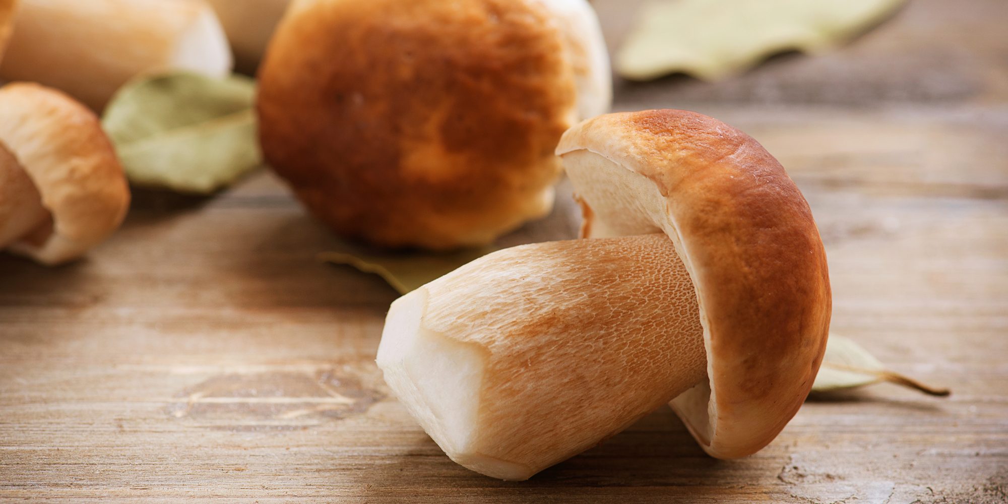 Как правильно приготовить белый гриб: лучшие способы и рецепты
