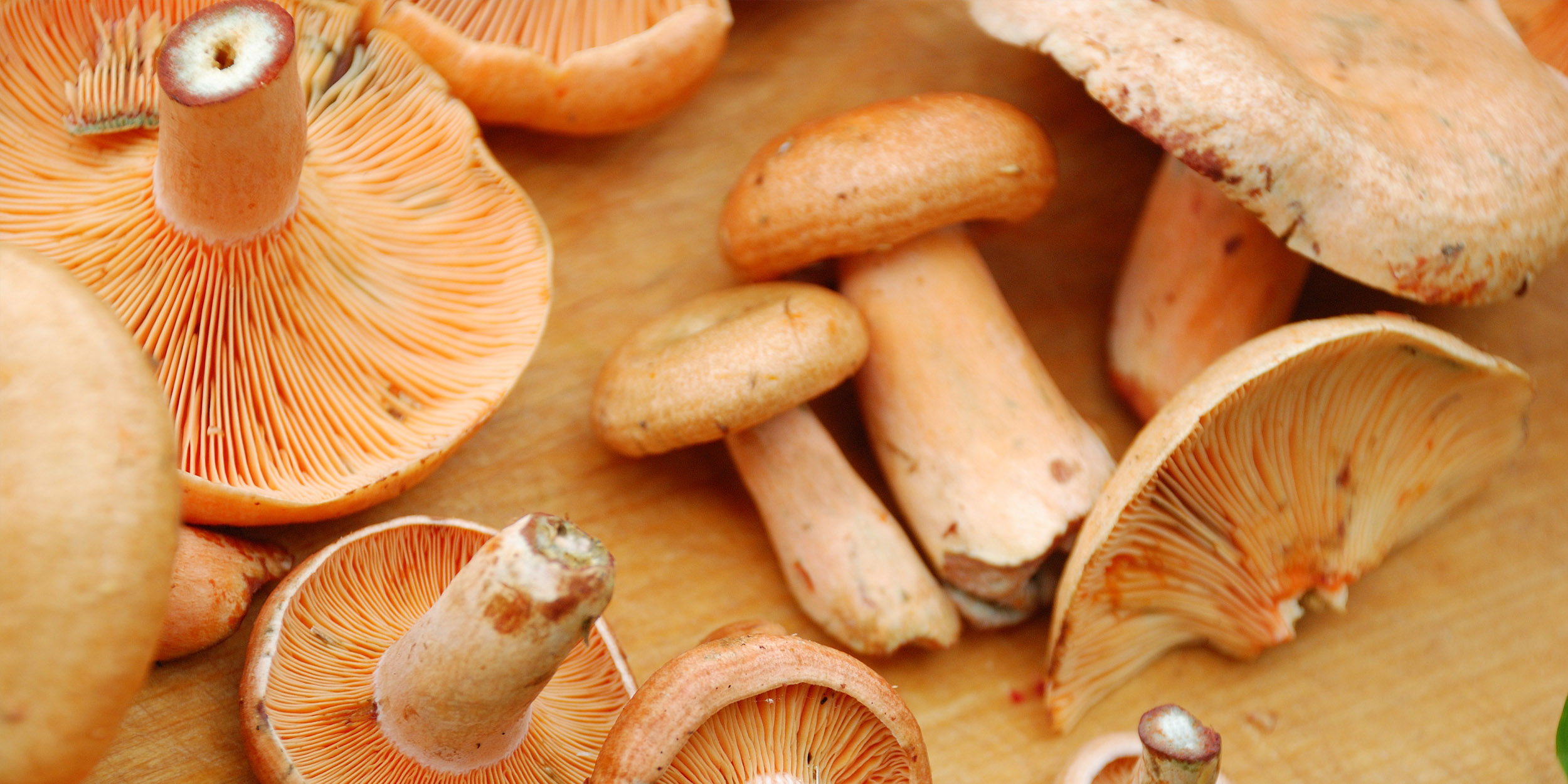 Сколько варить грибы рыжики