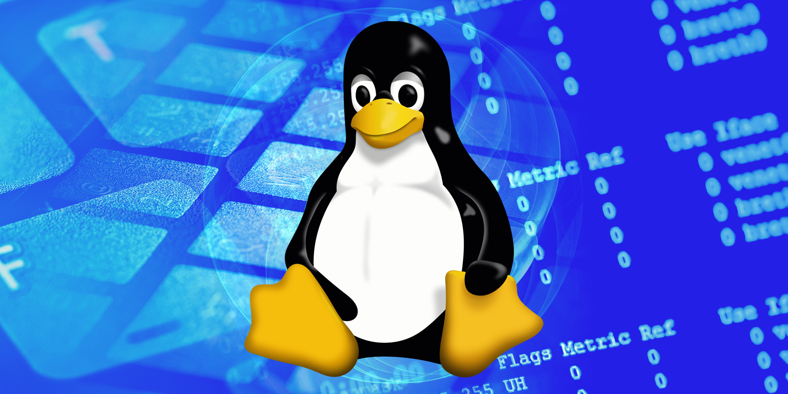 Vk linux. Курсы линукс. Курсы Linux. Linux mobile.