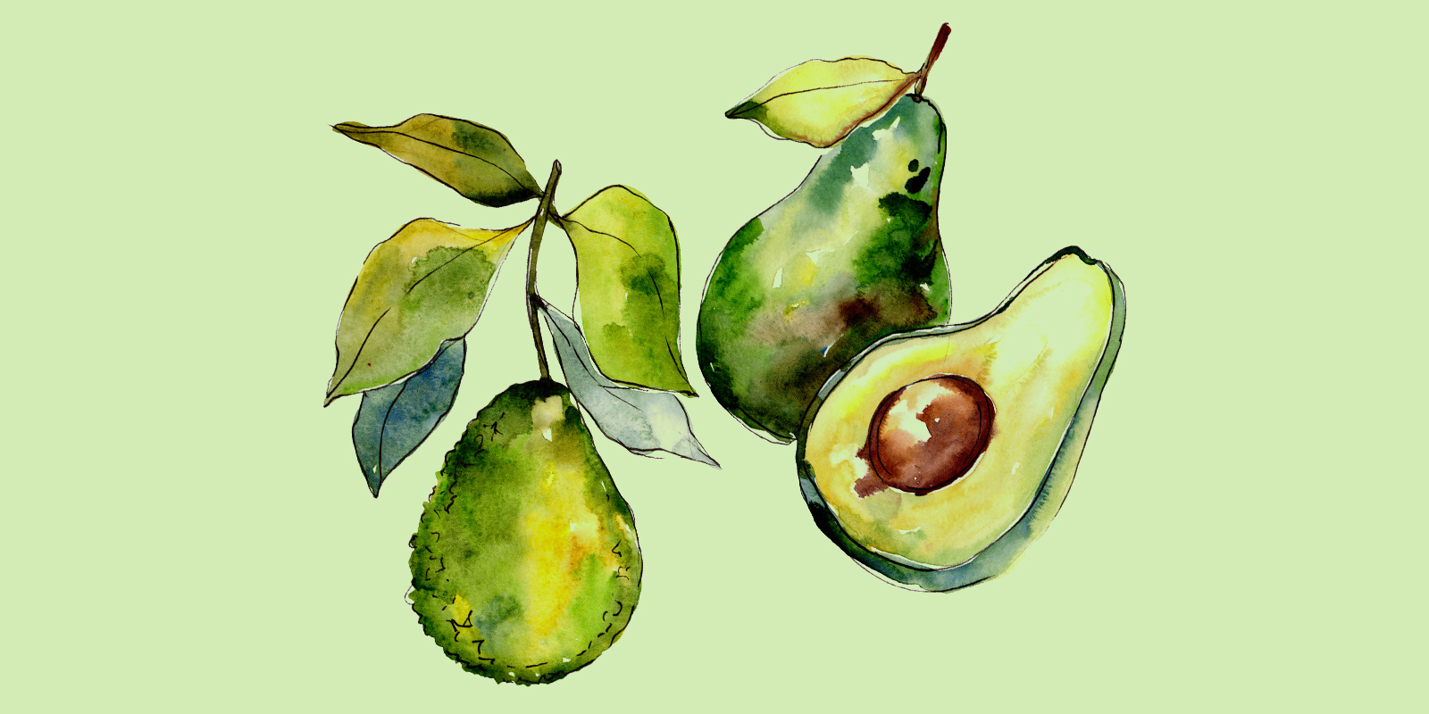 Цветные авокадо пастельные