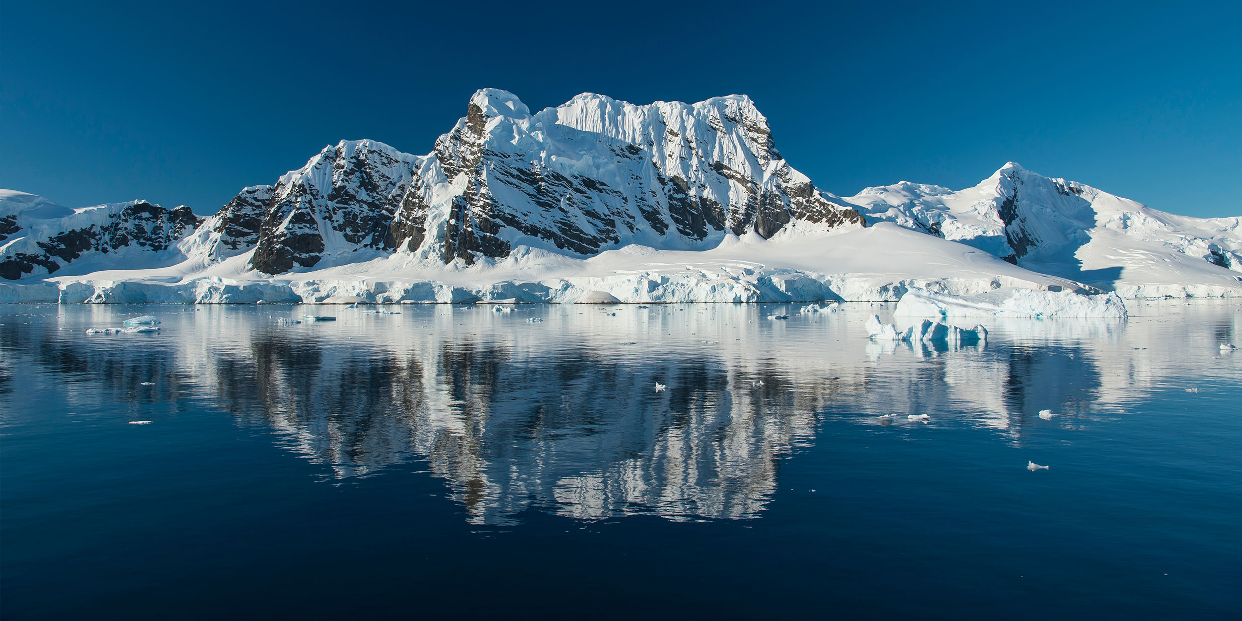 Почему запрещено посещение Антарктиды: главные причины