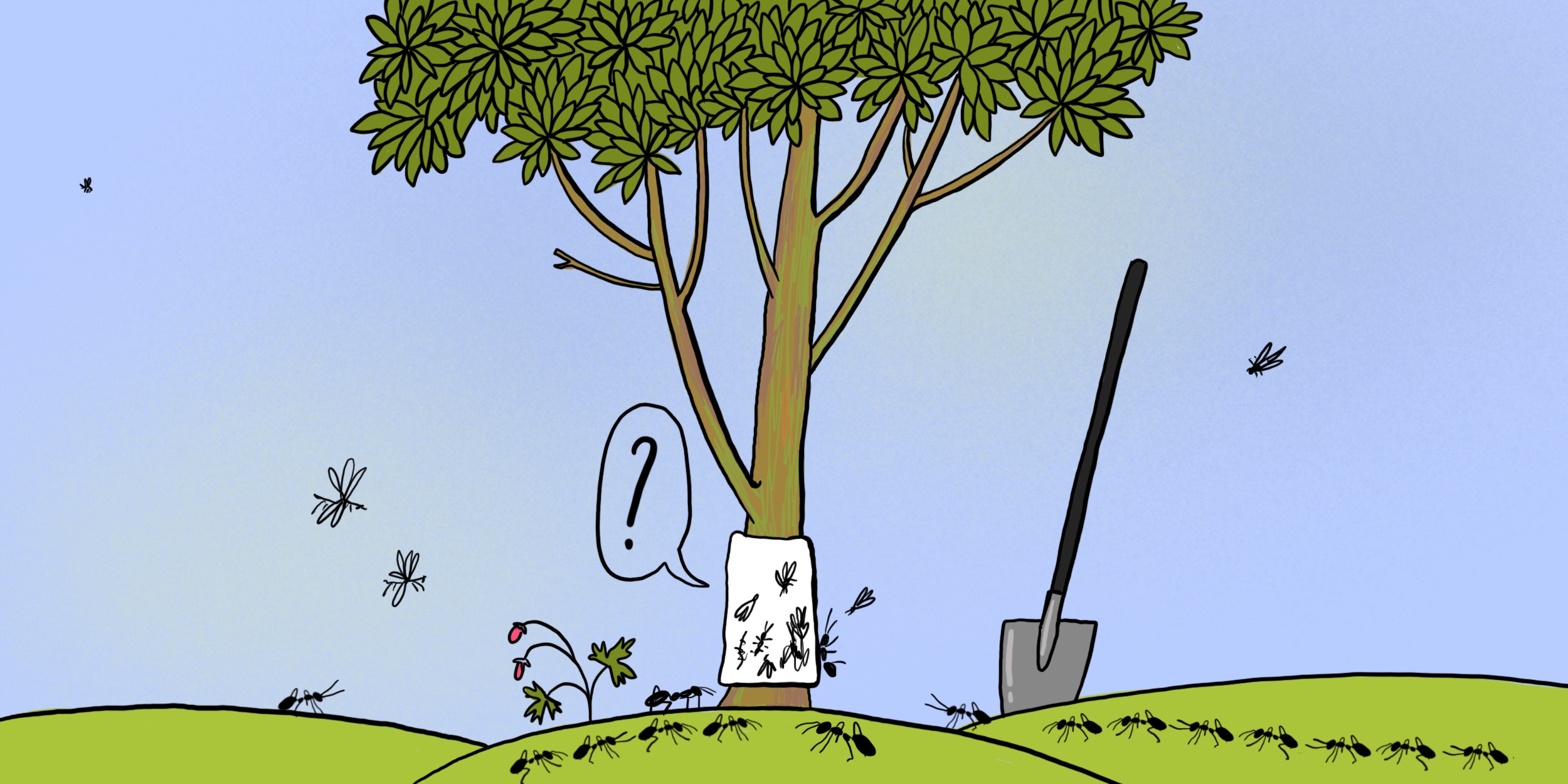 5 способов сделать защитный пояс для деревьев на участке