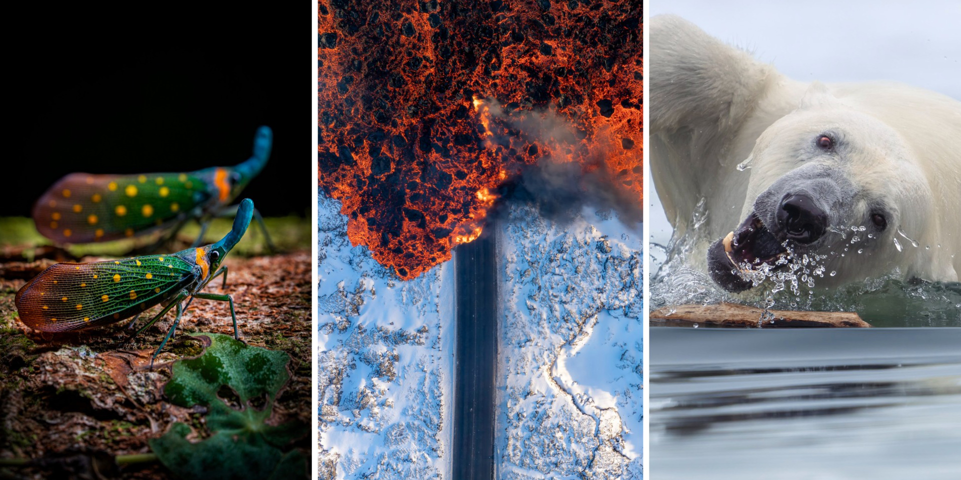 Mini yubkada külotsiz qizlar video Evelinaning yalangoch niqobi namoyishi