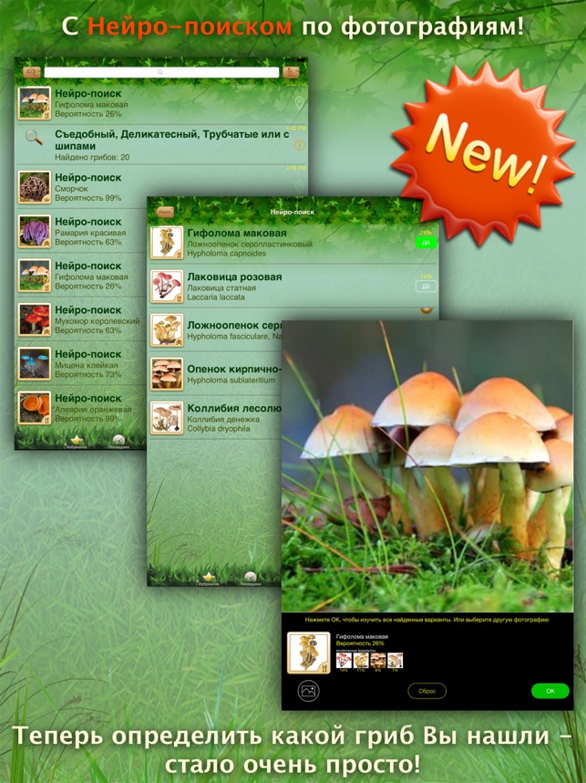 Приложение для распознавания грибов по фото для андроид